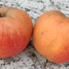 Bio-Apfel Boskoop Hohenheim