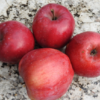 Bio-Apfel Querina = Florina