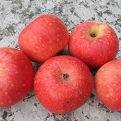 Bio-Apfel Rote Sternrenette
