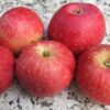 Bio-Apfel Purpurroter Cousinot