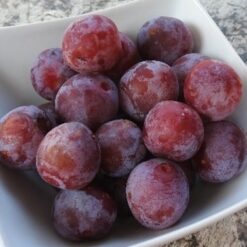 Bio-Zwetschke Löhrspflaume