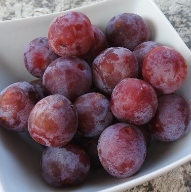 Bio-Zwetschke Löhrspflaume